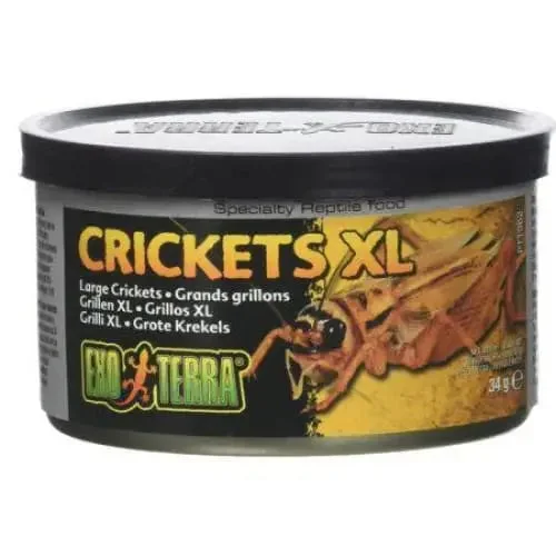 - Pet tear stain cleaning wipesExo Terra Canned Crickets XL Specialty Reptile Food