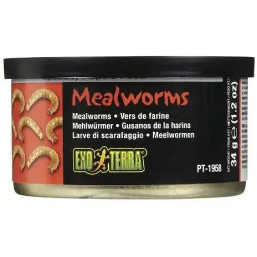 - Parrot climbing and standing wooden frameExo Terra Canned Mealworms Specialty Reptile Food - Parrot climbing and standing wooden frameExo Terra Canned Mealworms Specialty Reptile Food