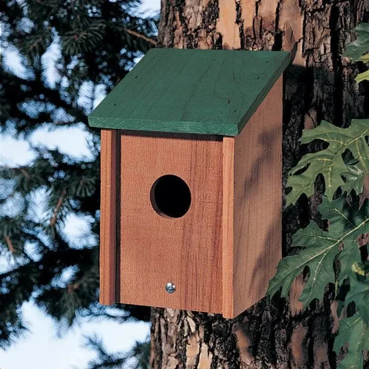 - Automatic induction pet water dispenserGreen Roof Bird Post House