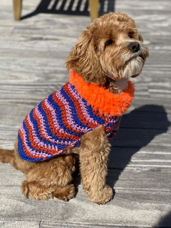 ---Pluto Dog Sweater (Crochet)