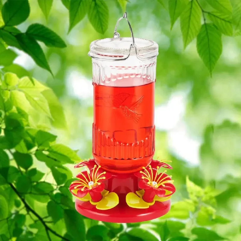 ---Stargazer Glass 26 oz. Hummingbird Feeder