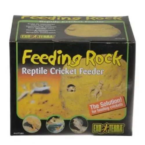 - Dog anti-slip matExo-Terra Feeding Rock Reptile Cricket Feeder