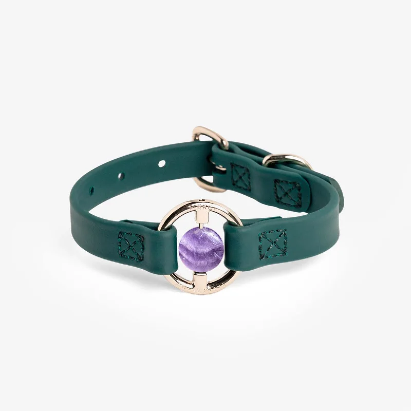  . **Pet nail clippers with LED lights**All Eyes On Me Dog Collar Jungle Green/Chevron Amethyst