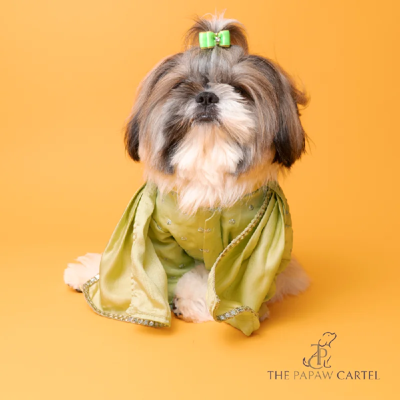 - Pet stroller can be taken on the planeThe Papaw Cartel Mirror Sherwani With Dupatta For Dogs (Chokos Green) - Pet stroller can be taken on the planeThe Papaw Cartel Mirror Sherwani With Dupatta For Dogs (Chokos Green)
