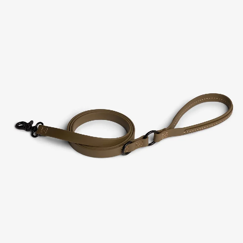  . **Dog snack bag is portable**Jump Around Dog Leash Martini Olive