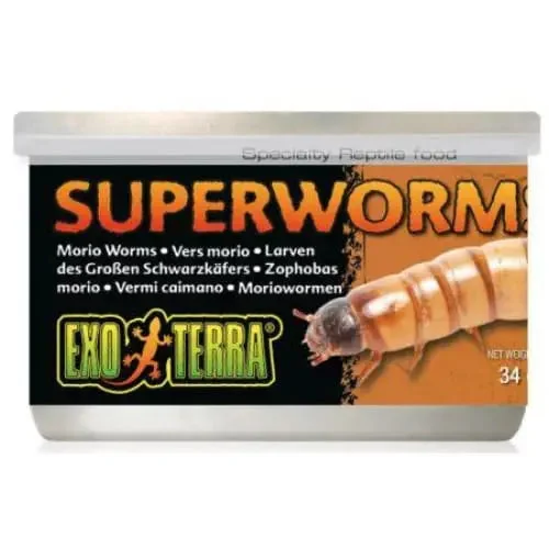 - Dog disposable foam shower gelExo Terra Canned Superworms Specialty Reptile Food