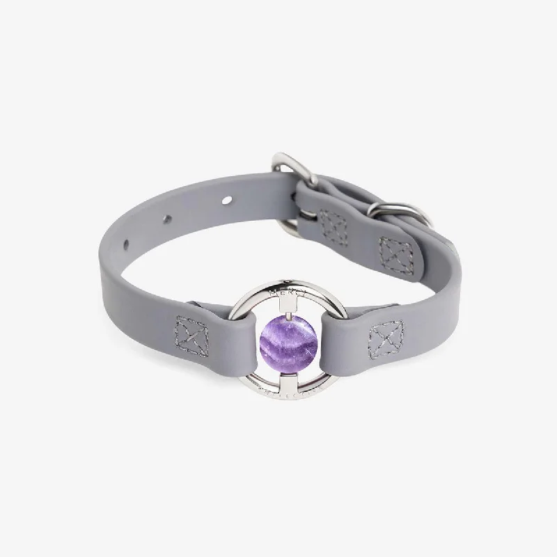 Pet accessoriesAll Eyes On Me Dog Collar Sea Lavender/Chevron Amethyst