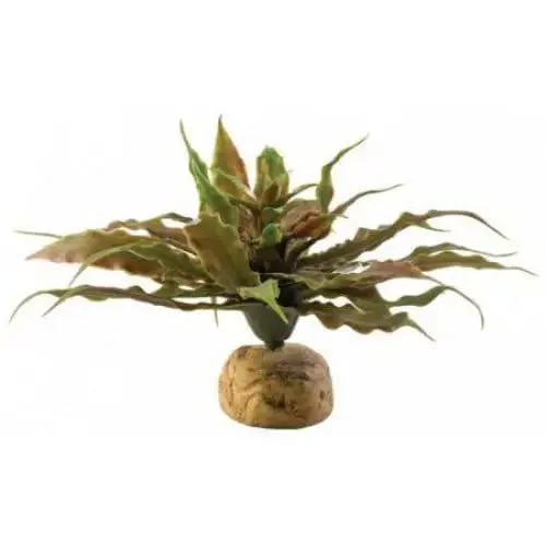 - Elderly dog ​​joint care mattressExo-Terra Desert Star Cactus Terrarium Plant