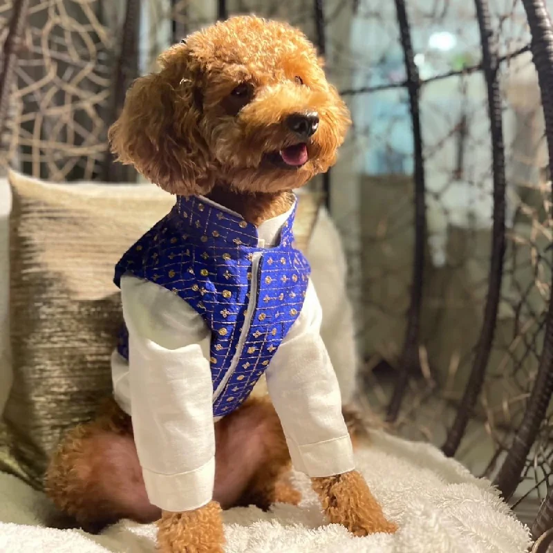 ---The Papaw Cartel Koti with Kurta set for Dogs (Blue)