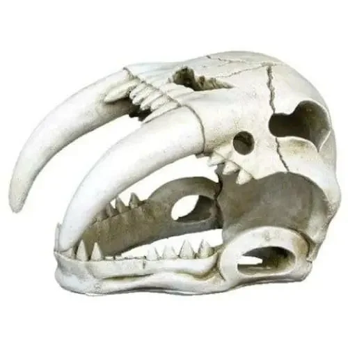 - Degradable pet feces bagWeco Products Wecorama Catacombs Sabertooth Skull Aquarium Ornament White - Degradable pet feces bagWeco Products Wecorama Catacombs Sabertooth Skull Aquarium Ornament White
