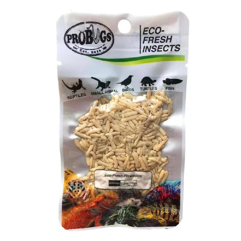 - Teething and chewing toys for puppiesPro Bugs Eco-Fresh Riceworm for Finches, Conures, Tropical Fish, Frogs food - Teething and chewing toys for puppiesPro Bugs Eco-Fresh Riceworm for Finches, Conures, Tropical Fish, Frogs food