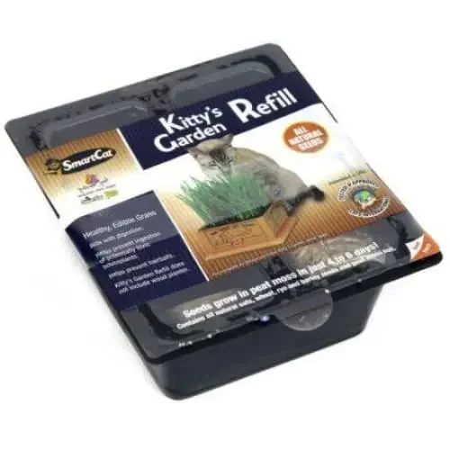 - Remote interactive pet feederPioneer Pet Kitty Garden Refill