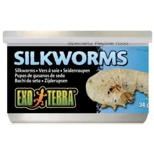 - Rabbit grass rack to prevent waste food boxExo Terra Canned Silkworms Specialty Reptile Food - Rabbit grass rack to prevent waste food boxExo Terra Canned Silkworms Specialty Reptile Food