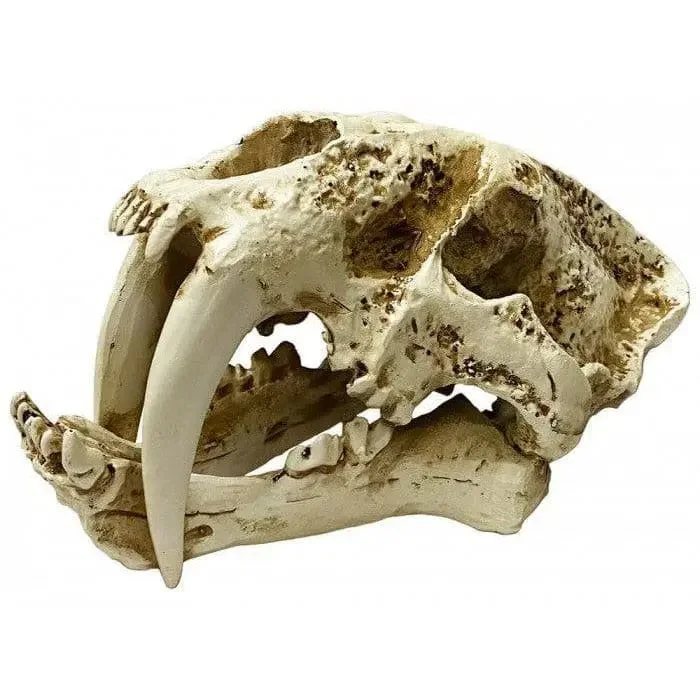 - ​​Christmas pet Christmas clothingNaturalistic Skulls saber-tooth Reptile Hideout Terrarium Decor