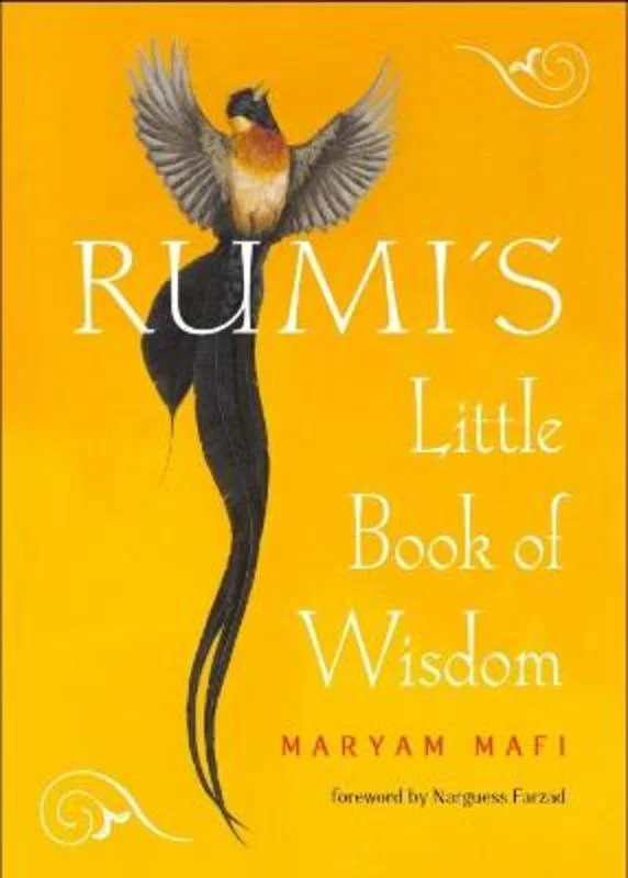 - Foldable and portable cat bagRumi'S Little Book of Wisdom