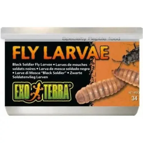 - Cat hair ball removal and hair removal creamExo Terra Canned Black Soldier Fly Larvae Specialty Reptile Food - Cat hair ball removal and hair removal creamExo Terra Canned Black Soldier Fly Larvae Specialty Reptile Food
