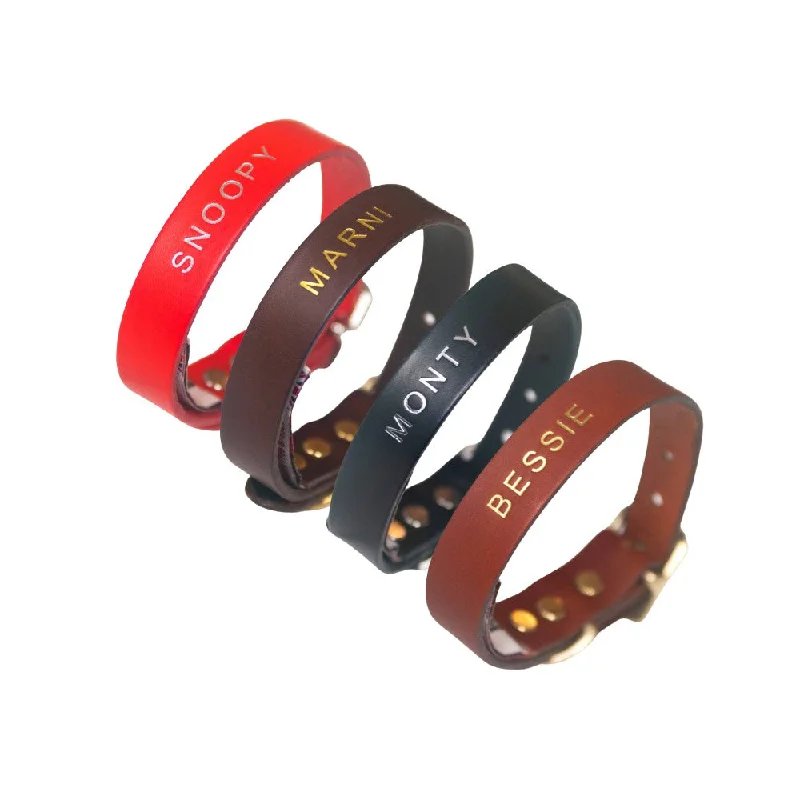 - Degradable pet feces bagPersonalised Named Leather Dog Collars