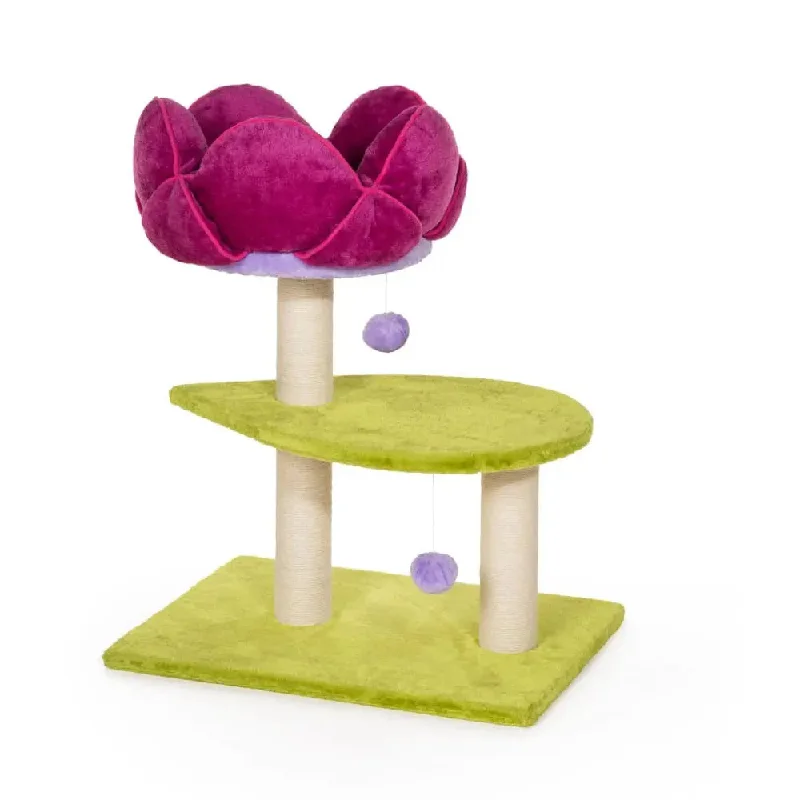 - Pregnant cat delivery room warming boxPrevue Pet Products Kitty Power Paws Flower Power Cat Activity Tree - Pregnant cat delivery room warming boxPrevue Pet Products Kitty Power Paws Flower Power Cat Activity Tree