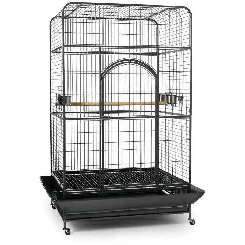 - Pet tear stain cleaning wipesEmpire Large Bird Macaw Cage