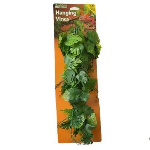 - Pet vitamin complex nutrition tabletsReptology Terrarium Climber Vine - Green