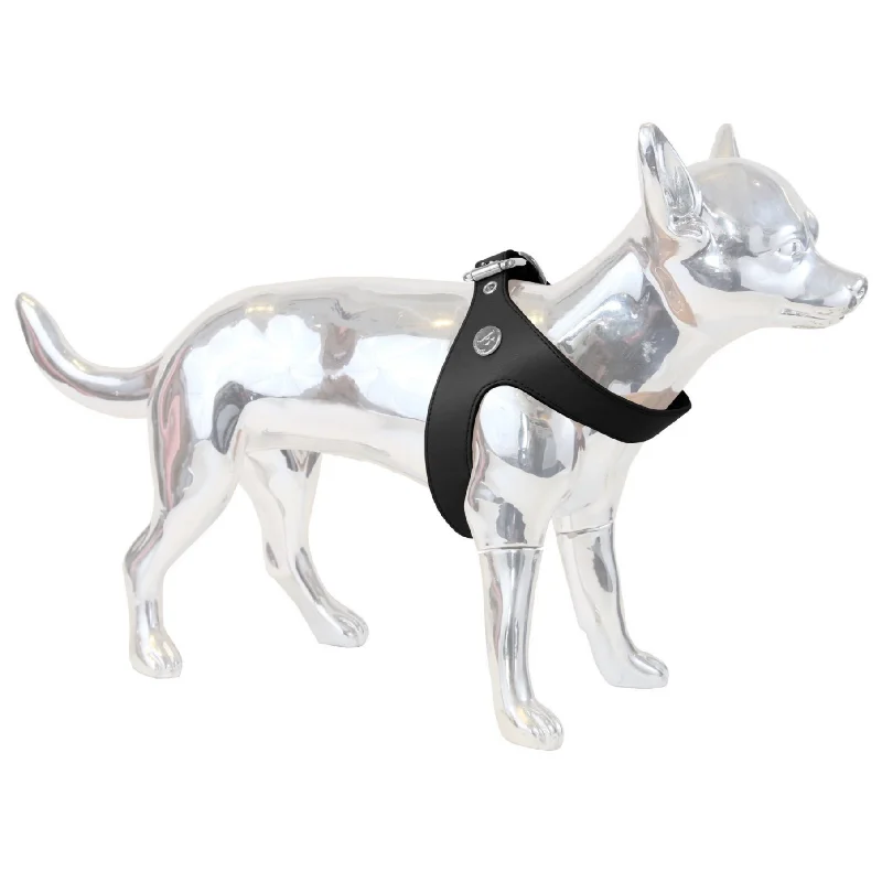 Focus on health and safety:VP Harness : Black