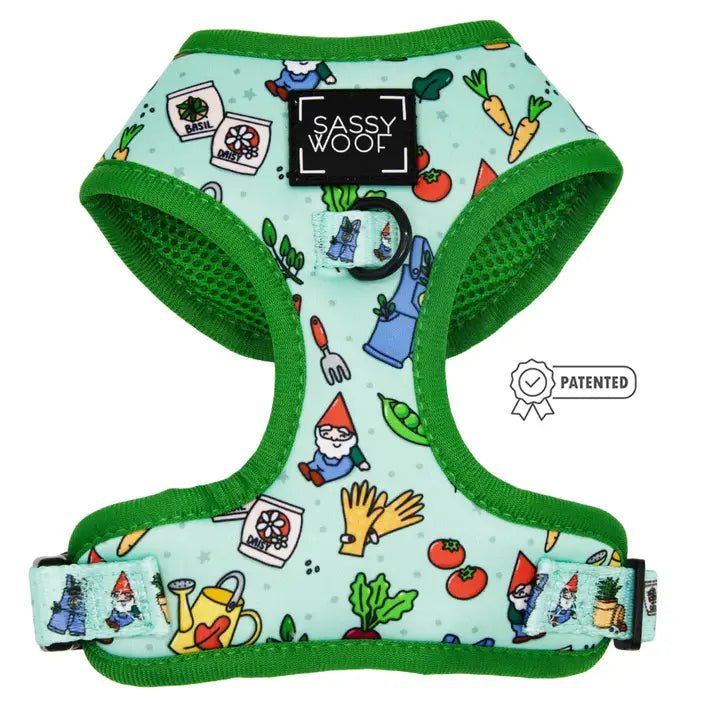 Small dog clothesChillin with My Gnomies Adjustable Dog Harness